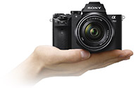 Canon EOS 6D дешевле на 355$ &mdash; смотрите весь каталог фототехники из США.